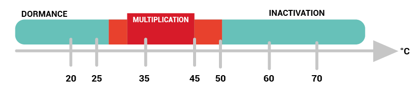 Température de multiplication des légionelles